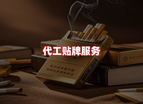 专业团队